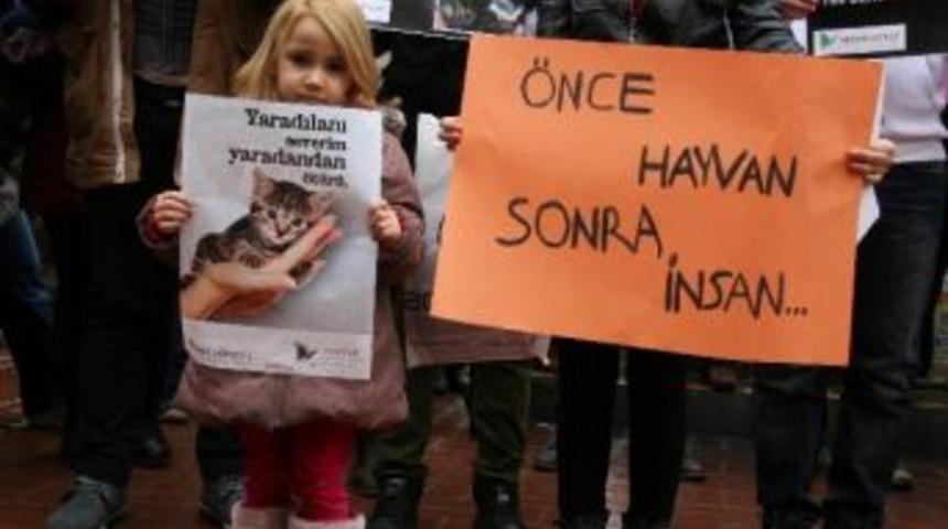 Kediyi &Ouml;ld&uuml;ren Gen&ccedil; Diyarbakır&rsquo;da Protesto Edildi