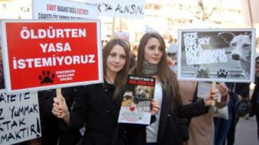 Eskişehir&rsquo;de &lsquo;kediye İşkence&rsquo; Olayı Protesto Edildi