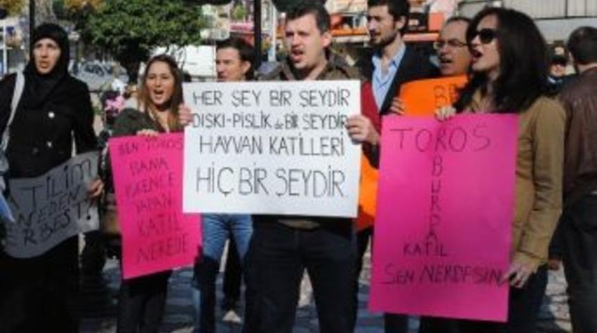 Hayvan Hakları İ&ccedil;in Y&uuml;r&uuml;d&uuml;ler