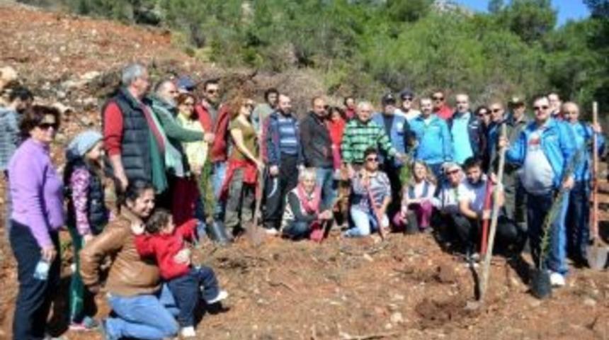 Yanan Ormanların Yerine Yenileri Dikildi