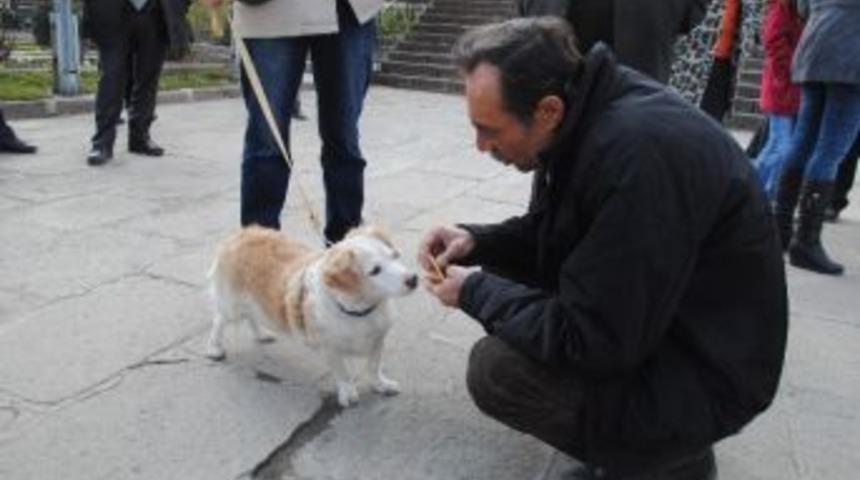 Afyonkarahisar&rsquo;da Hayvan Hakları Savunucuları Bir Araya Geldi