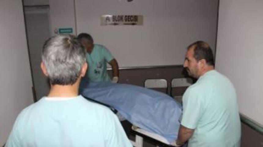 Devrilen Ağacın Altında Kalan Adam Kurtarılamadı