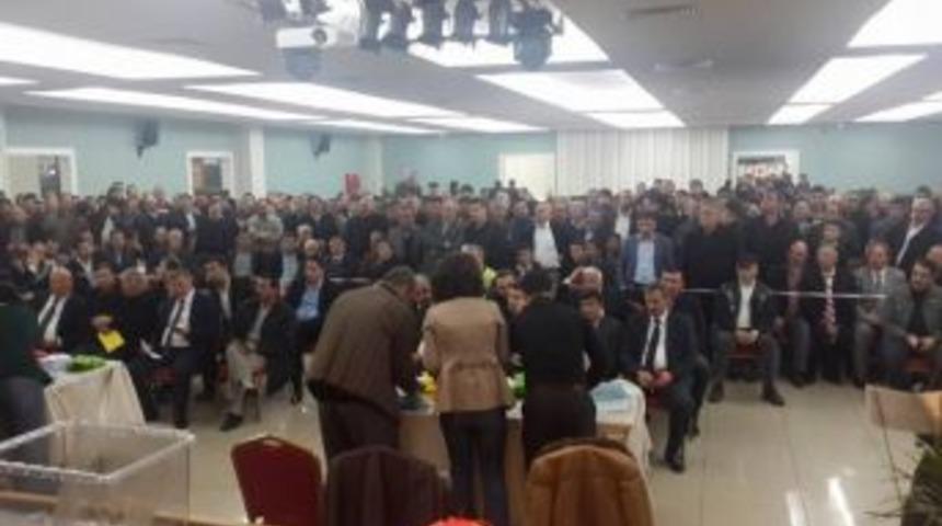 Muammer K&uuml;&ccedil;&uuml;k&ouml;ks&uuml;z G&uuml;ven Tazeledi