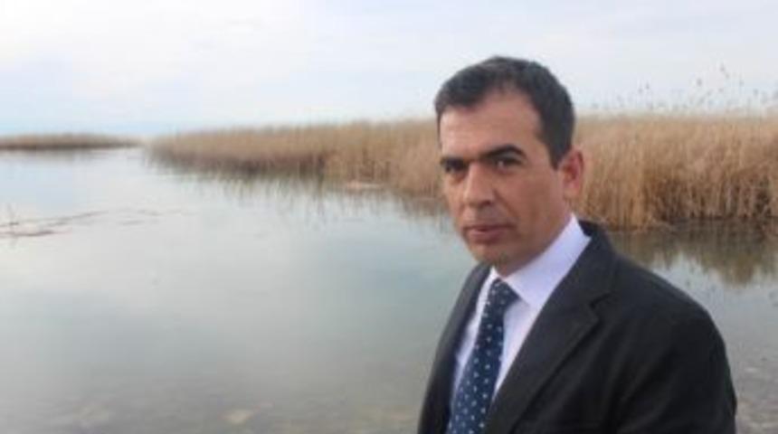 Sazlıklar Su Kuşlarının &Uuml;remesi İ&ccedil;in &Ouml;nemli