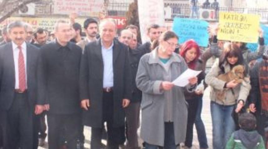 Kastamonu&rsquo;ya Hayvanseverler Hayvan Haklarını Protesto Etti