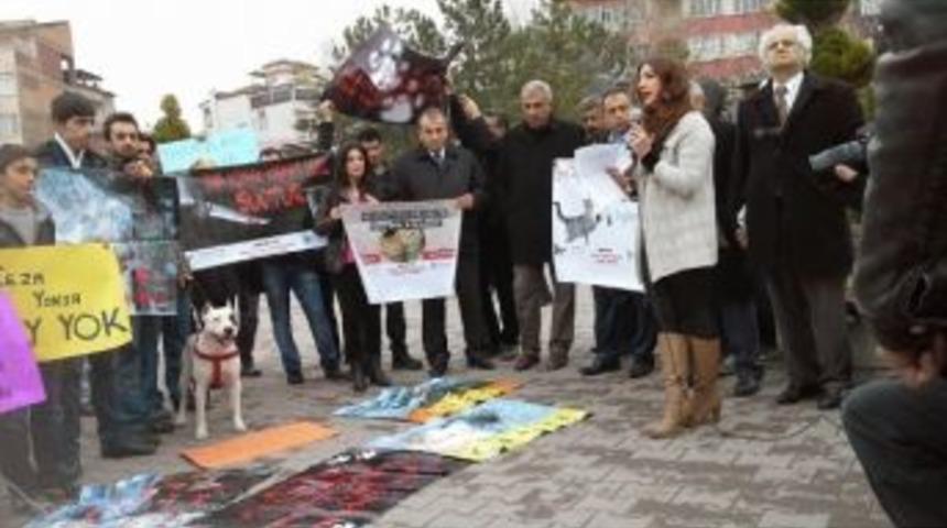 Hayvanseverler, Eylem İle Seslerini Duyurmaya &Ccedil;alıştı