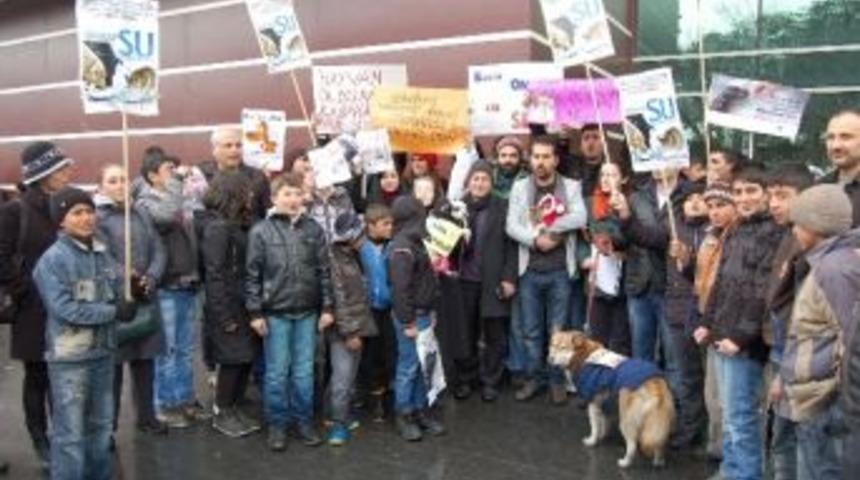 Bitlis'te Hayvanseverler Kedi Cinayetini Kınadı