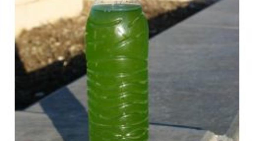 Gemerek&rsquo;te Şebeke Suyuna Kanalizasyon Karıştı