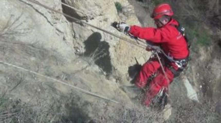 Manisa'da Ke&ccedil;i Operasyonu