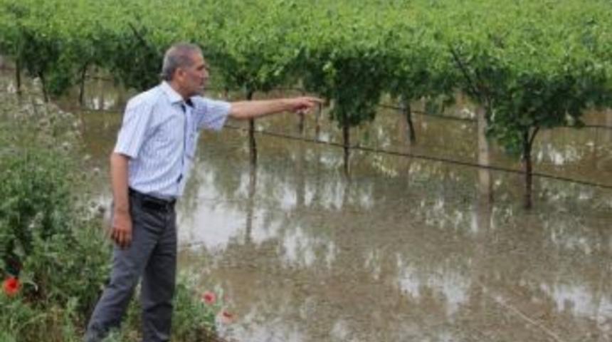 "tarım Sigortasında Son G&uuml;n&uuml; Beklemeyin"