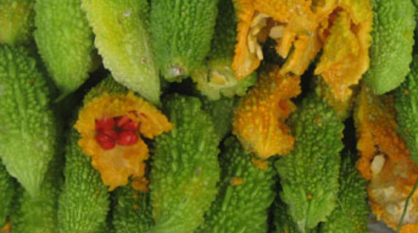 Kudret narının mucizevi faydaları