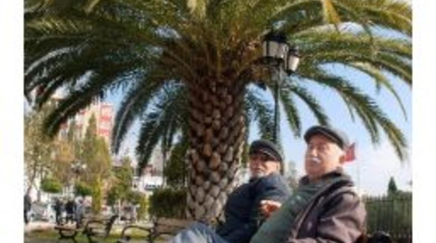 Aydın&rsquo;da Bahar Havası