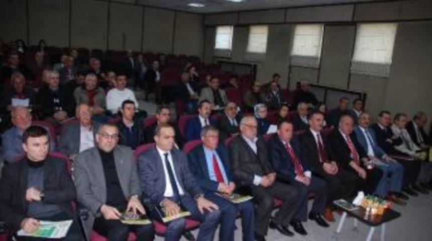 Gemlik Zeytininin Yeni Logosu Tanıtıldı