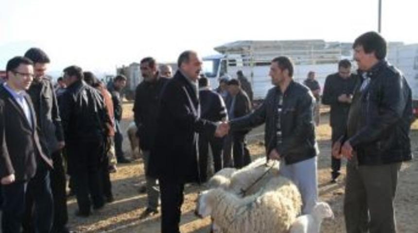 Kula Hayvan Ve Zahire Pazarı'nda 74 D&uuml;kkan Yer Alacak