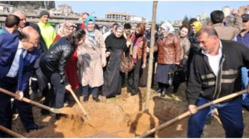 Trabzon Belediyesi 5 Yılda 129 Bin 640 Ağa&ccedil; Dikti