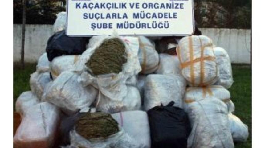 Narkotik K&ouml;peği 1 Ton Esrar Buldu