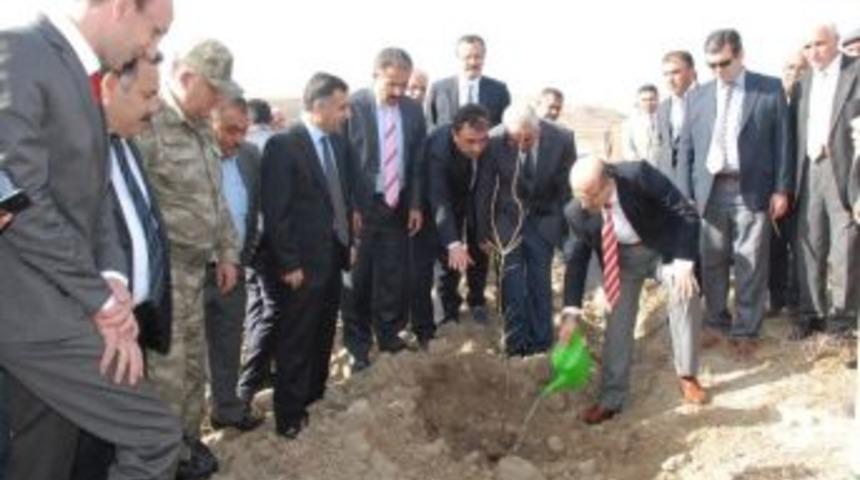 Ağa&ccedil;landırma &Ccedil;alışmaları Devam Ediyor