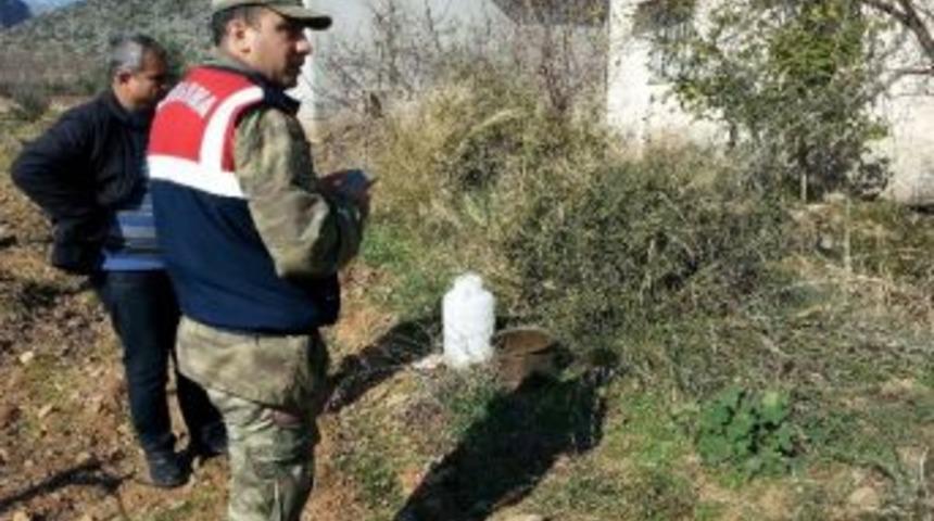 Hırsızlar Bu Defa Zeytinyağı &Ccedil;aldı