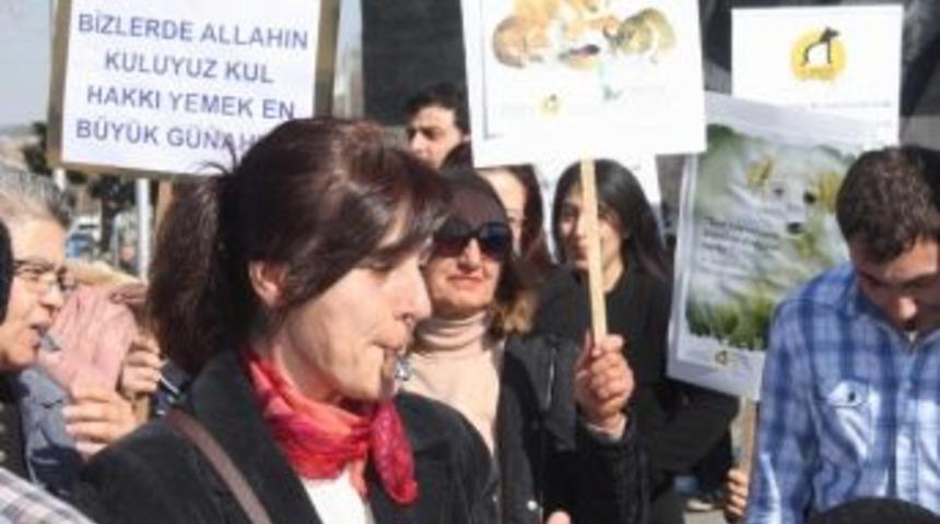 Hayvanlar İ&ccedil;in D&uuml;d&uuml;kl&uuml; Eylem