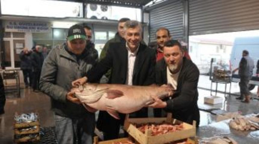 Başkan İnce, Balık&ccedil;ıyla Mezatta Buluştu