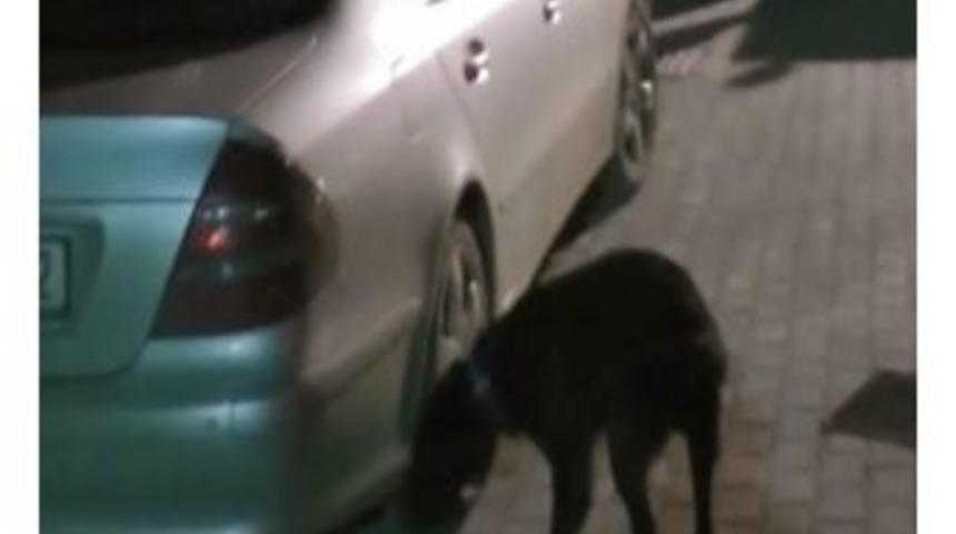 Takibe Alınan Aracın Zulasından 11 Kilo Eroin &Ccedil;ıktı