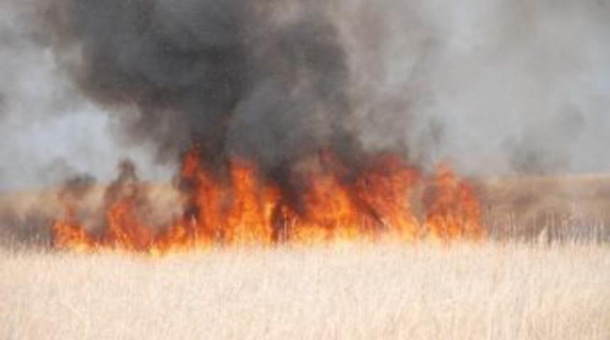 G&ouml;ksu Deltası'nda Yangın