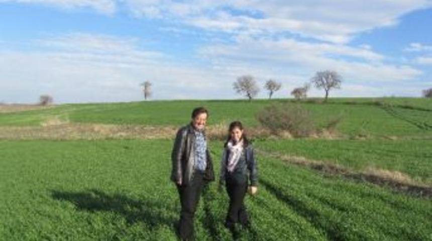 Hububat Tarlalarında Hastalık Kontrol&uuml; Yapılıyor