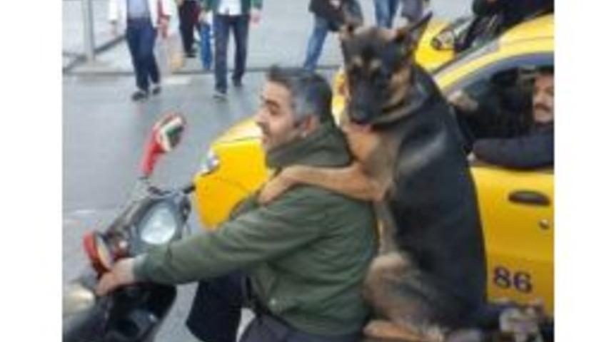 K&ouml;peğin Motosiklet İle İstanbul Keyfi