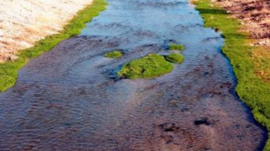 Kış Ortasında Baharı Yaşıyoruz