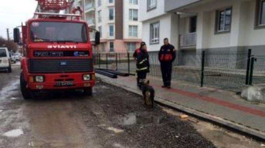&Ccedil;atıda Mahsur Kalan K&ouml;peği İtfaiye Kurtardı