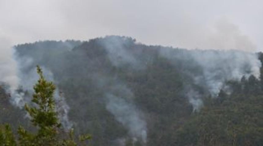 Sinop&rsquo;ta Orman Yangını