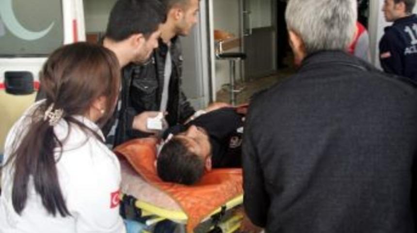 Kuş Kavgası Hastanede Bitti