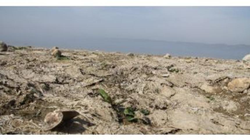 (&ouml;zel Haber) Sapanca Hi&ccedil; Bu Kadar &Ccedil;ekilmemişti