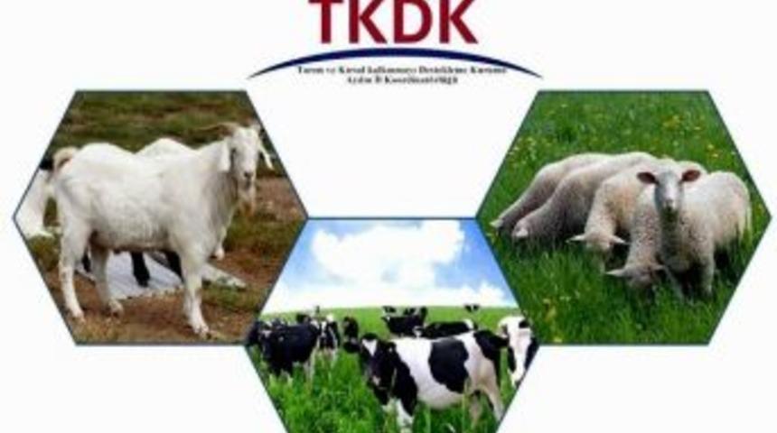 S&uuml;t &Uuml;retenin Hibe Desteği Tkdk&rsquo;dan