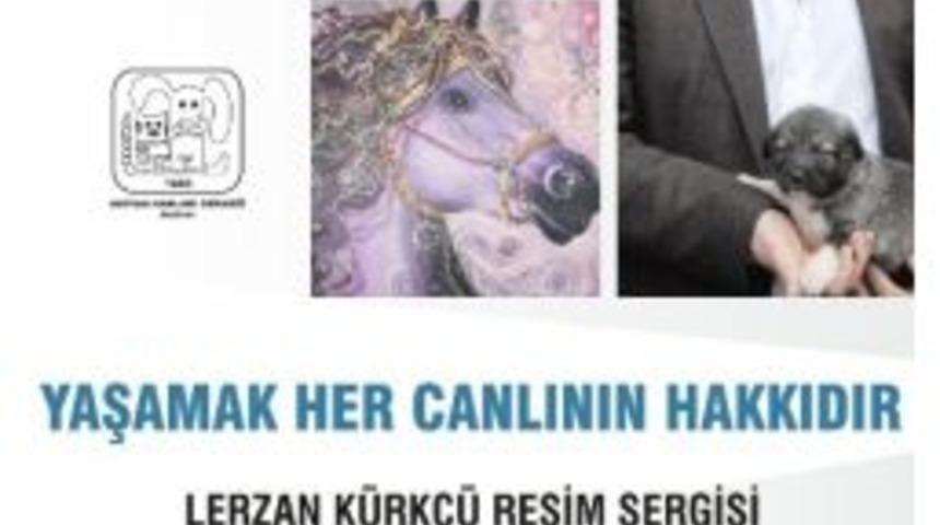 Bodrum&rsquo;da Sokak Hayvanları Yararına Resim Sergisi