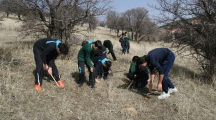 Yozgat&rsquo;ta &Ccedil;iğdemler Bir Ay Erken A&ccedil;tı