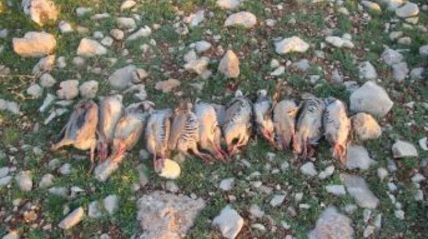 Usuls&uuml;z Avlanan 4 Avcıya Ceza Kesildi