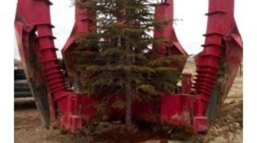 Kazım Karabekir Meslek Y&uuml;ksekokulunda Ağa&ccedil;landırma &Ccedil;alışması