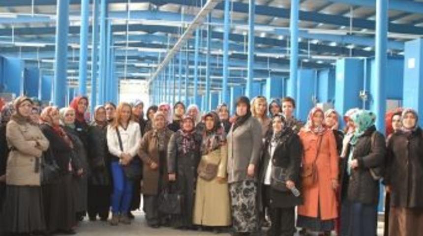 Karasulular Hizmetleri Gezdi