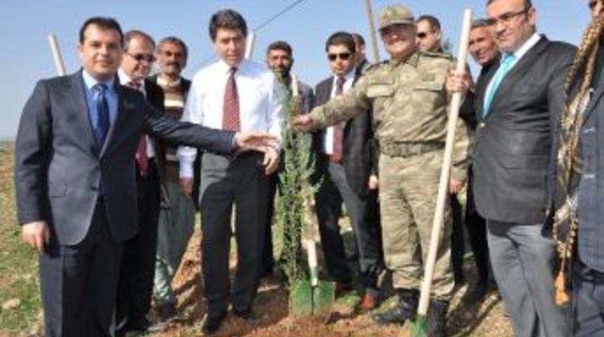 Vali Dr. Ahmet Cengiz Derik'te &Ccedil;eşitli Ziyaretlerde Bulundu