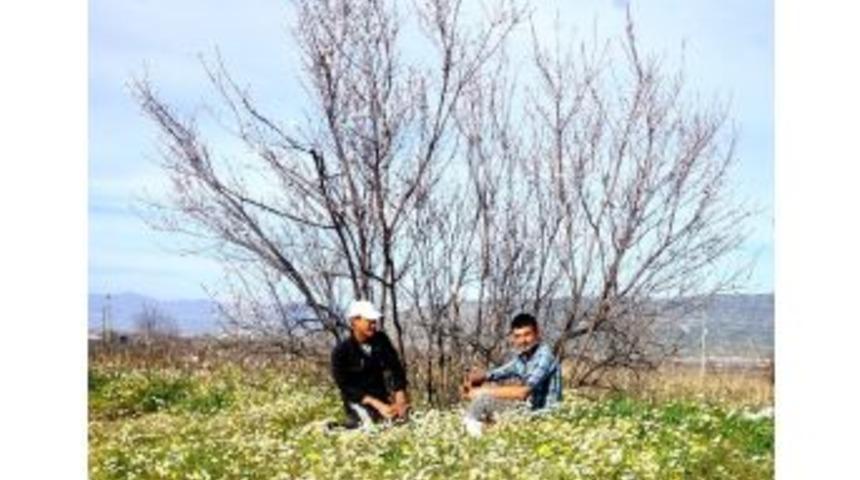 Tarım İş&ccedil;ilerinin Bahar Keyfi