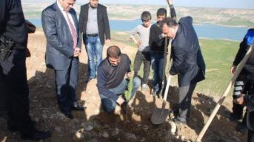Emniyet G&uuml;&ccedil;leri Ağa&ccedil; Dikti
