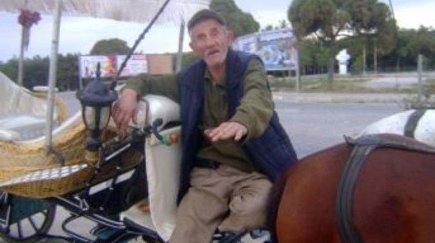 Aydın&rsquo;da Fayton K&uuml;lt&uuml;r&uuml; Yaşatılıyor