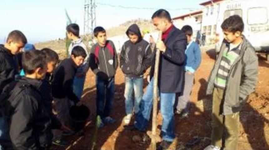 İlk&ouml;ğretim &Ouml;ğrencileri Ağa&ccedil; Dikti