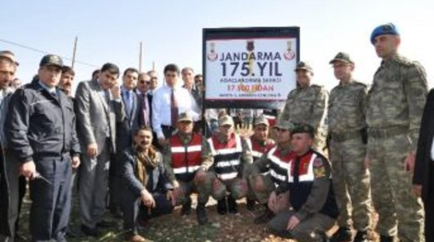 Jandarmanın Kuruluşunun 175.yıl D&ouml;n&uuml;m&uuml; Dolayısıyla Derik'te Fidan Dikildi