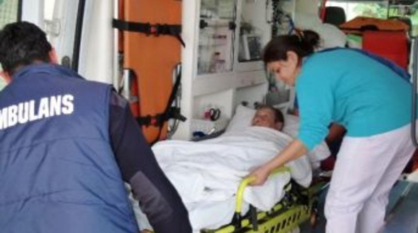 M&uuml;zeyyen Senar Taburcu Oldu