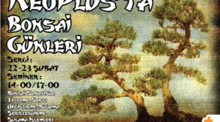 Neoplus&rsquo;ta Bonsai G&uuml;nleri