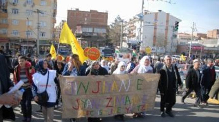Diyarbakır'da Anadil G&uuml;n&uuml; Y&uuml;r&uuml;y&uuml;ş&uuml;