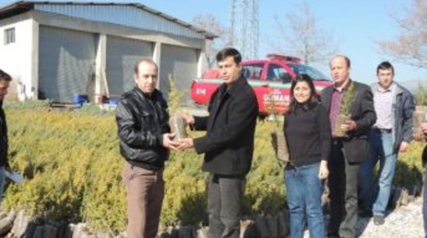 Bucak Orman İşletme M&uuml;d&uuml;rl&uuml;ğ&uuml; &Uuml;cretsiz Fidan Dağıtıyor