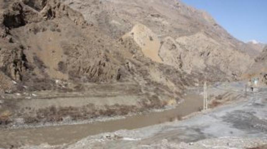 (&ouml;zel Haber) Hakkari&rsquo;de Şubat Ayında Kardelenler &Ccedil;i&ccedil;ek A&ccedil;tı